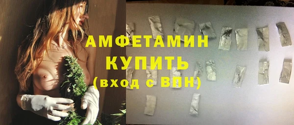 стафф Алзамай