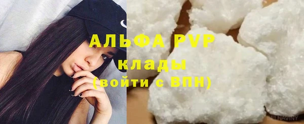 стафф Алзамай