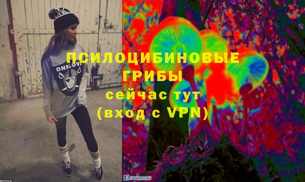 ECSTASY Алексеевка