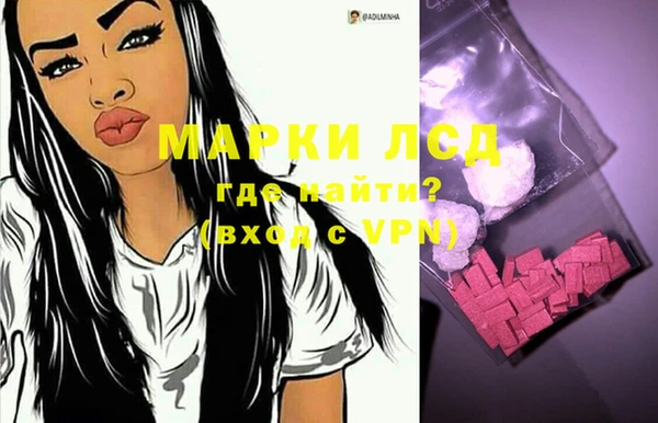 стафф Алзамай