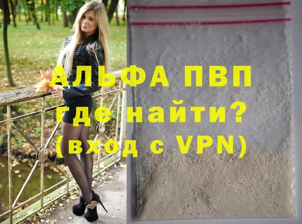 стафф Алзамай