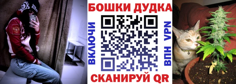 Конопля сатива  Троицк 
